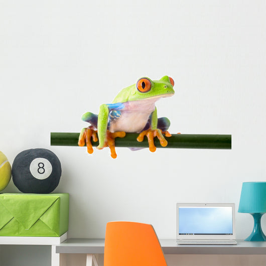 red eyed treefrog Wall Decal