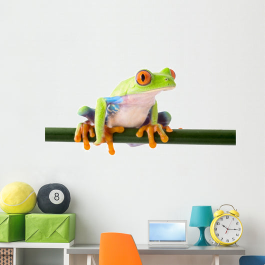 red eyed treefrog Wall Decal