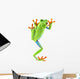 red eyed tree frog Wall Decal