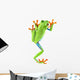 red eyed tree frog Wall Decal