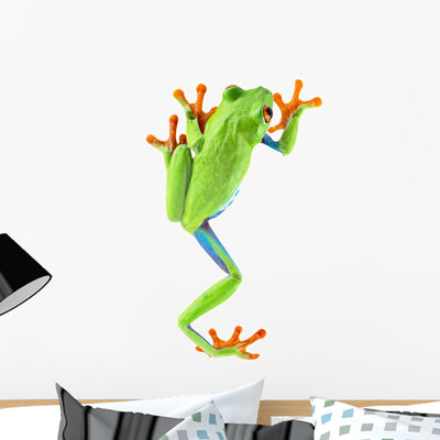 Red Eyed Tree Frog Wall Decal shown on a wall