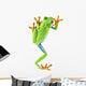 red eyed tree frog Wall Decal