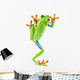 red eyed tree frog Wall Decal