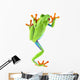 red eyed tree frog Wall Decal