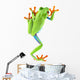 red eyed tree frog Wall Decal