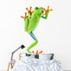 red eyed tree frog Wall Decal