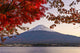 Mt. Fuji 