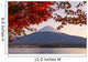 Mt. Fuji 