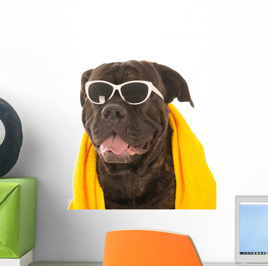 Summer Dog Wall Decal