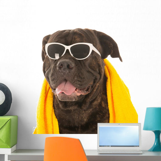 Summer Dog Wall Decal