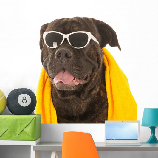 Summer Dog Wall Decal