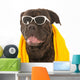 Summer Dog Wall Decal