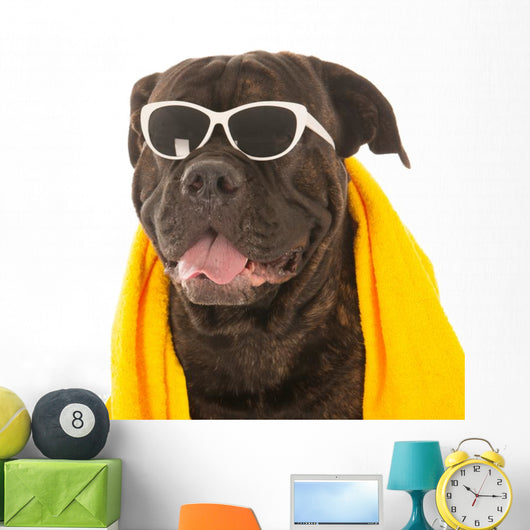 Summer Dog Wall Decal