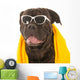 Summer Dog Wall Decal