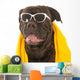 Summer Dog Wall Decal