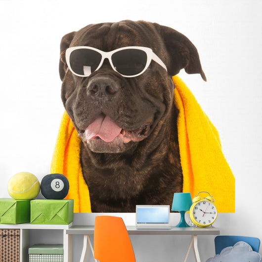 Summer Dog Wall Decal