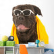 Summer Dog Wall Decal