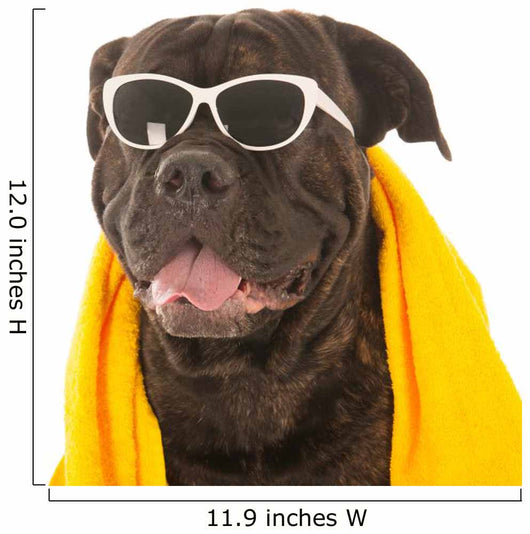 Summer Dog Wall Decal