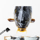 Carp Head Wall Decal