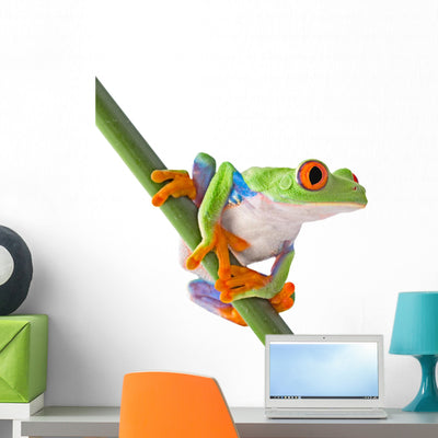 Red Eyed Tree Frog Wall Decal shown on a wall