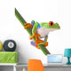 Red Eyed Tree Frog Isolated Wall Decal