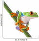 Red Eyed Tree Frog Isolated Wall Decal