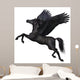 Black Pegasus Profile 