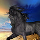 Black Buck Unicorn Wall Mural