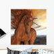 Burnt Sky Unicorn 