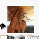 Burnt Sky Unicorn 