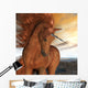 Burnt Sky Unicorn 