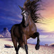 Mahogony Bay Unicorn Wall Mural