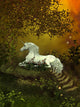 Mystical Unicorn 