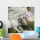 Unicorn and Yucca Plant 