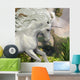 Unicorn and Yucca Plant 