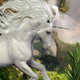 Unicorn and Yucca Plant 