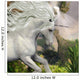 Unicorn and Yucca Plant 