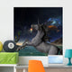 Unicorn Universe Wall Mural