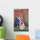 guitar with American flag 