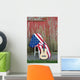 guitar with American flag 