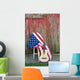 guitar with American flag 