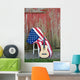 guitar with American flag 