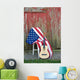 guitar with American flag 