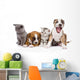Group of cats and dogs sitting in front. isolated on white  Wall Decal