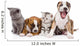 Group of cats and dogs sitting in front. isolated on white  Wall Decal
