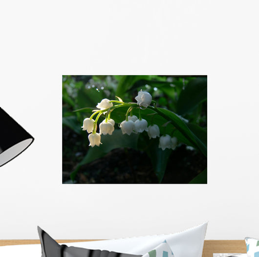May-Flower Wall Mural