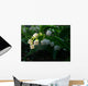 May-Flower Wall Mural