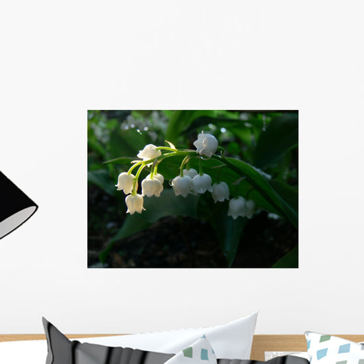 May-Flower Wall Mural