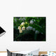 May-Flower Wall Mural
