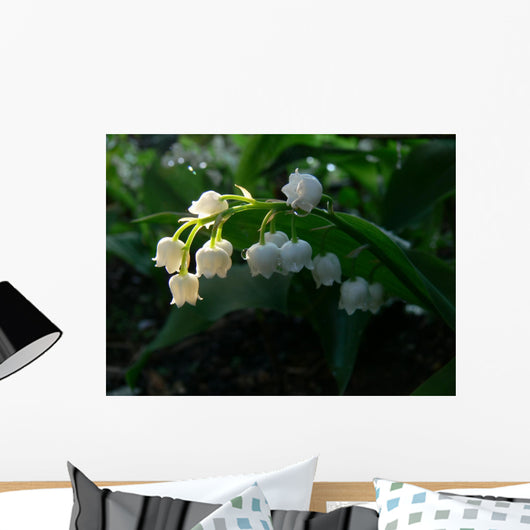 May-Flower Wall Mural